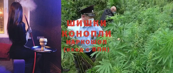 бошки Бородино