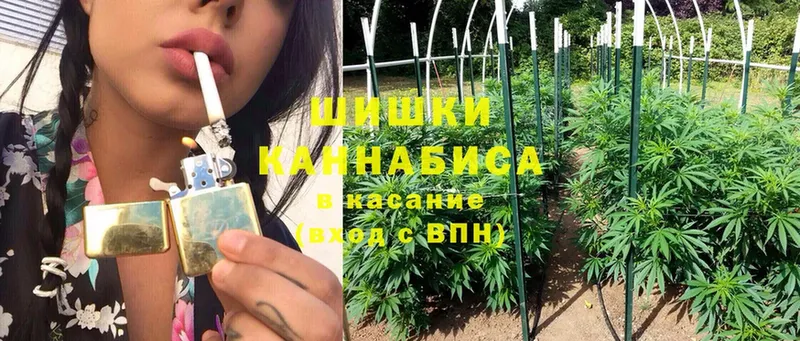 наркотики  Палласовка  МАРИХУАНА White Widow 